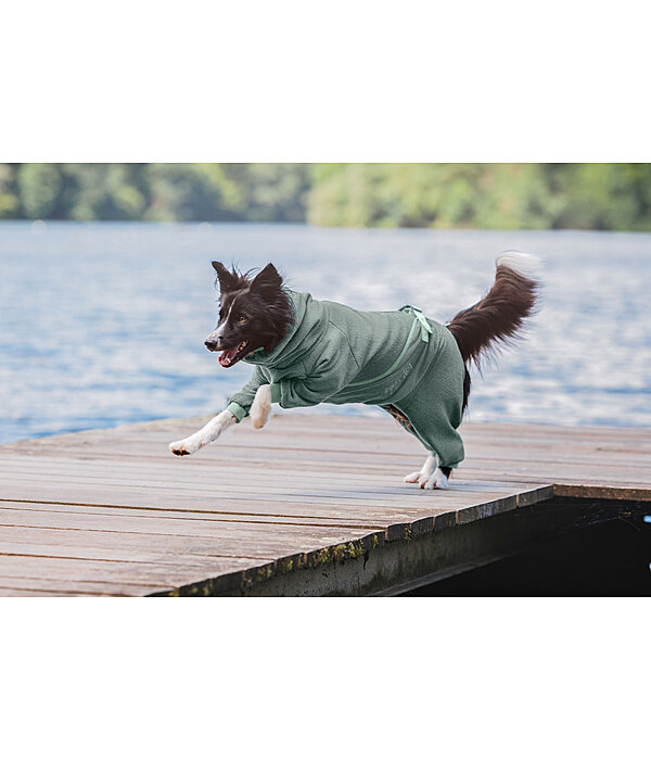 Peignoir pour chiens  Allover Dry