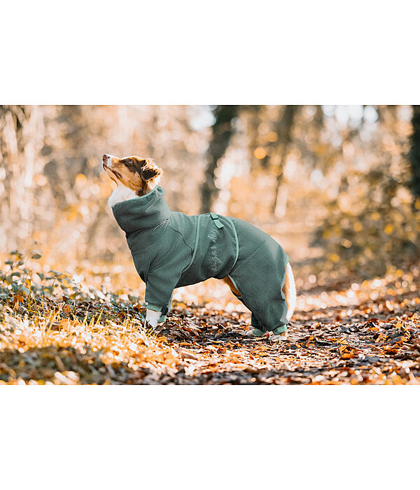 Peignoir pour chiens  Allover Dry