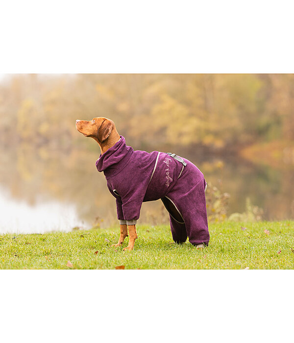 Peignoir pour chiens  Allover Dry