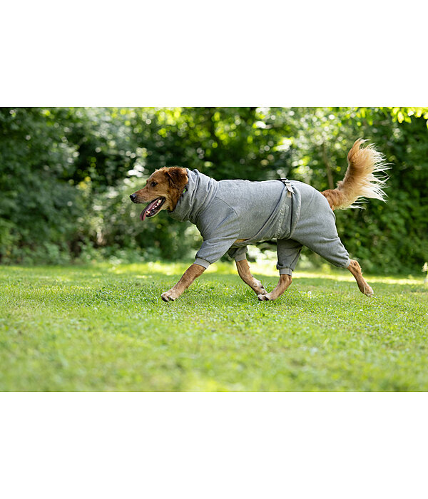 Peignoir pour chiens  Allover Dry