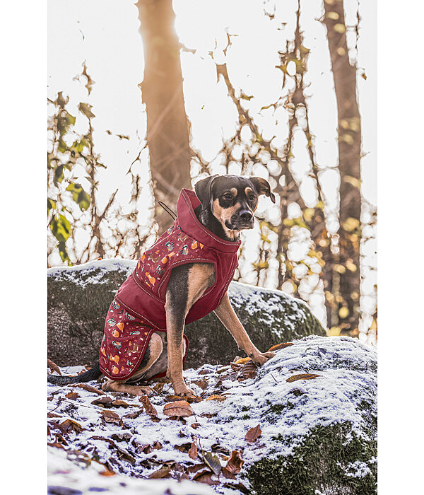 Impermable  Pumpkin Spice, 0 g