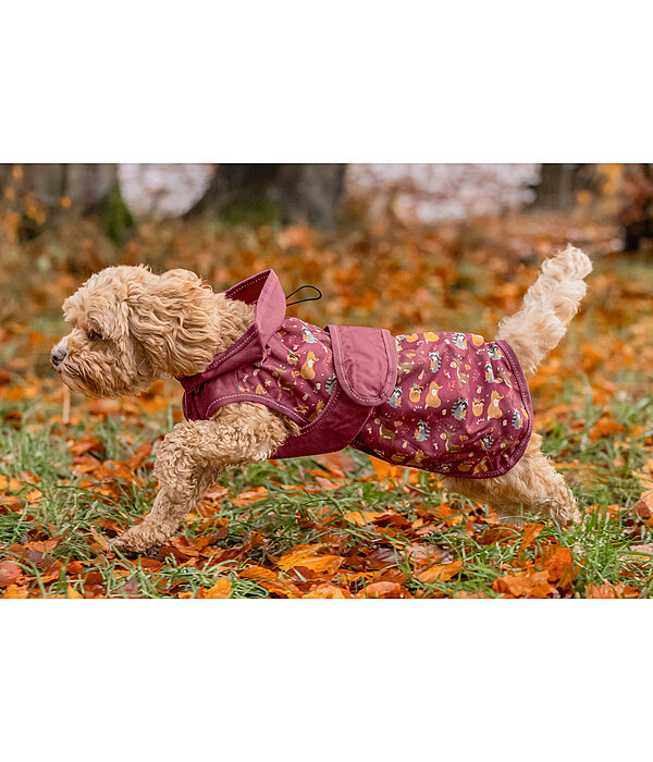 Impermable  Pumpkin Spice, 0 g