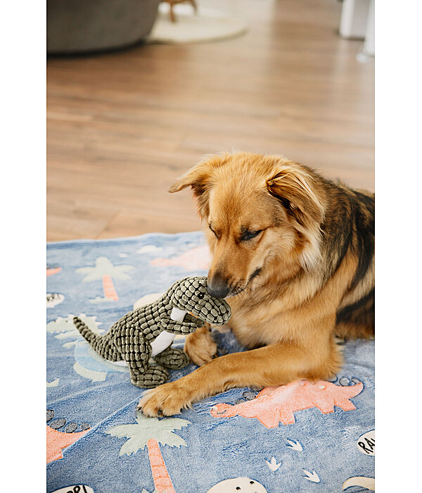 Dinosaure en peluche  Rexy
