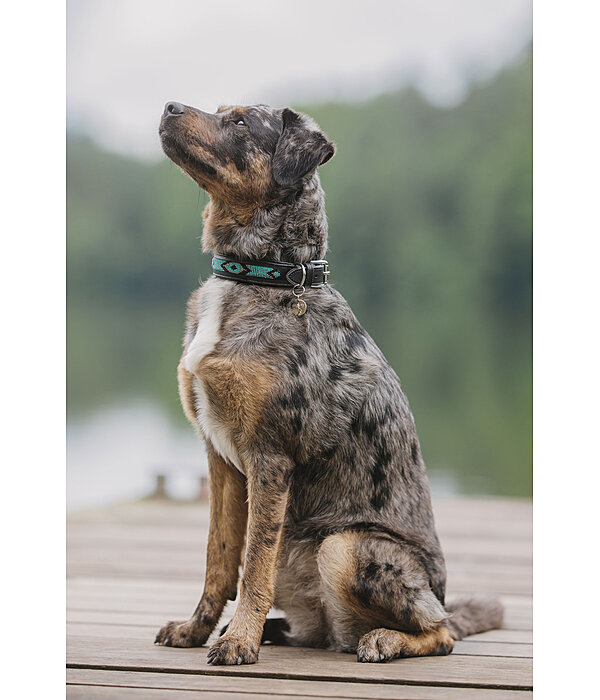 Collier pour chien en cuir  Nashville