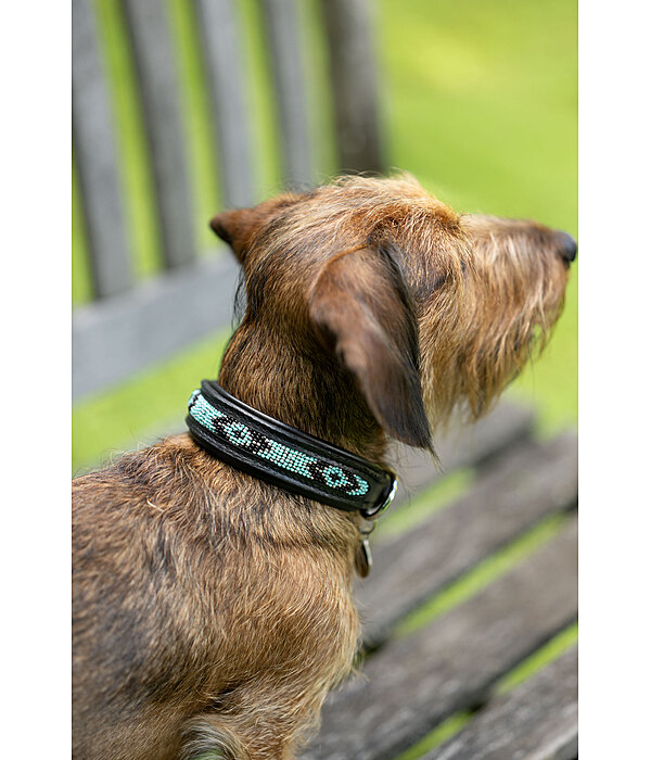 Collier pour chien en cuir  Nashville