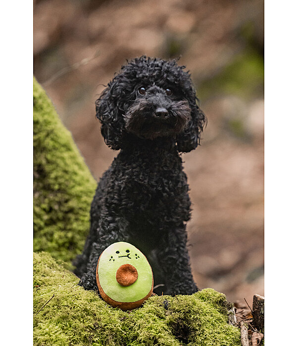 Jouet pour chien  Avocado