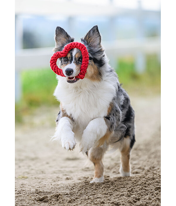 Jouet corde pour chien  Valentine