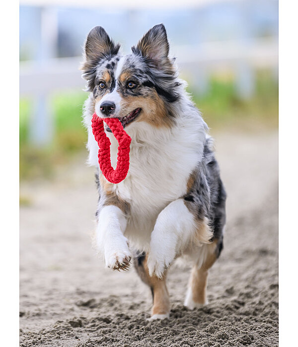 Jouet corde pour chien  Valentine
