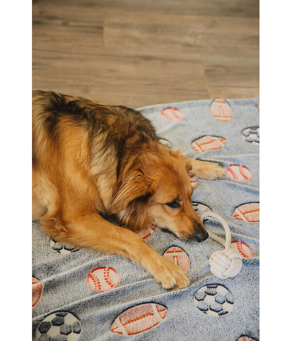 Jouet corde pour chien  Jack