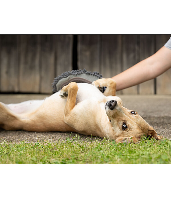 Gant de toilettage pour chien  Cosma