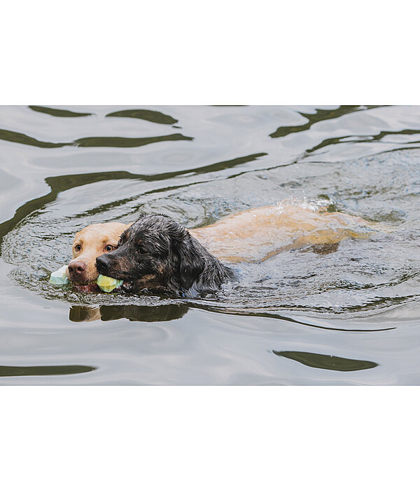Jouet d'eau pour chien  Marble Bone
