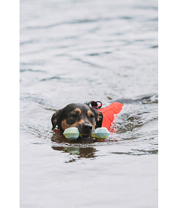 Jouet d'eau pour chien  Marble Bone