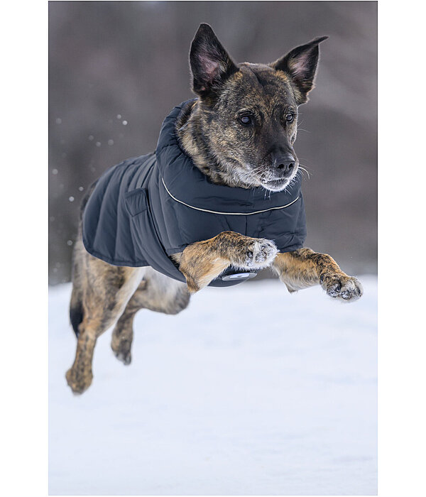 Manteau pour chien matelass� avec lampe LED Arlo, 300 g