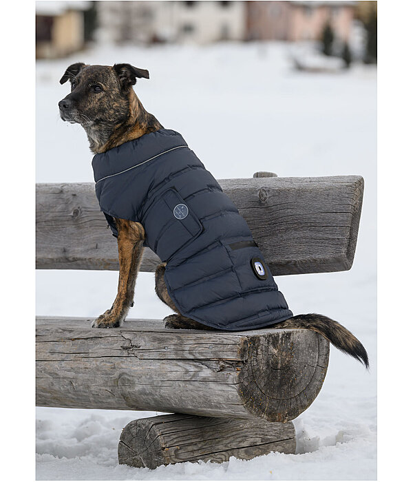 Manteau pour chien matelass� avec lampe LED Arlo, 300 g