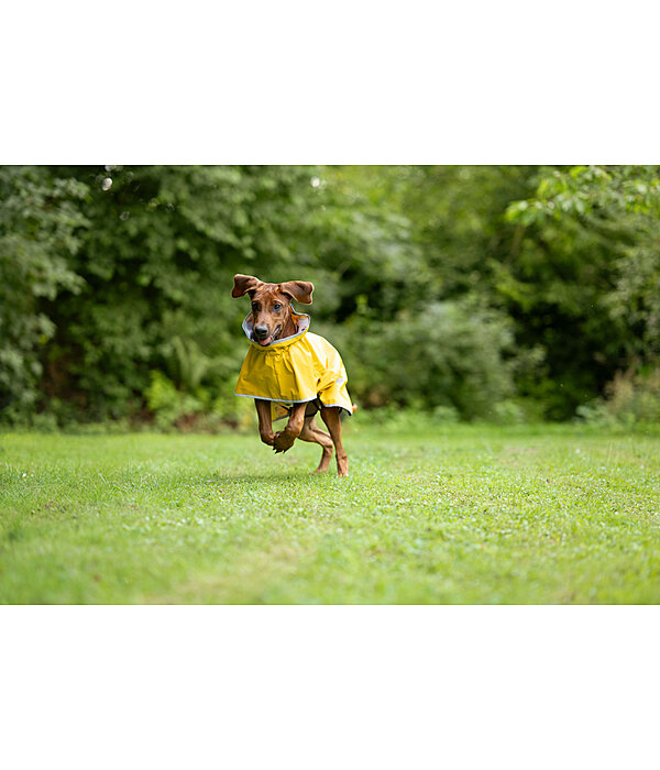 Manteau de pluie pour chien  Thousand Islands, 0 g