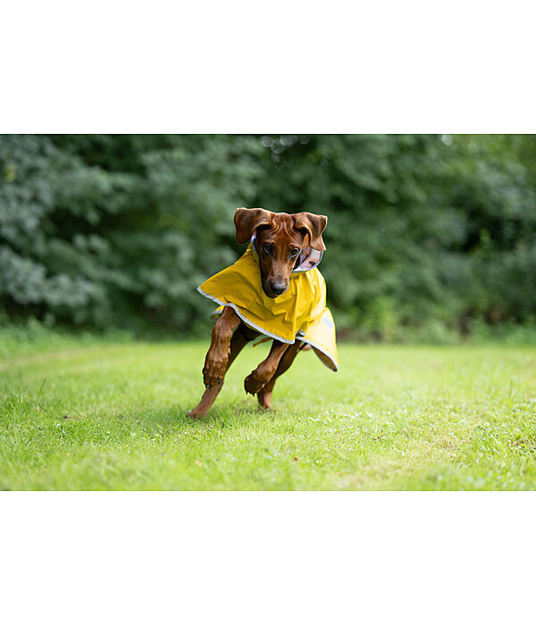Manteau de pluie pour chien  Thousand Islands, 0 g