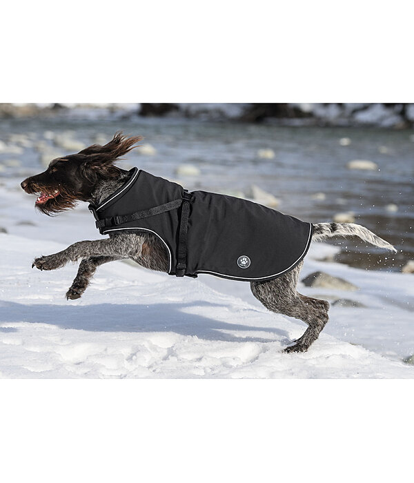 Manteau softshell pour chien avec harnais int�gr�  Cruz, 160 g