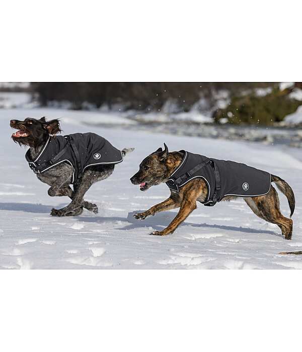 Manteau softshell pour chien avec harnais int�gr�  Cruz, 160 g