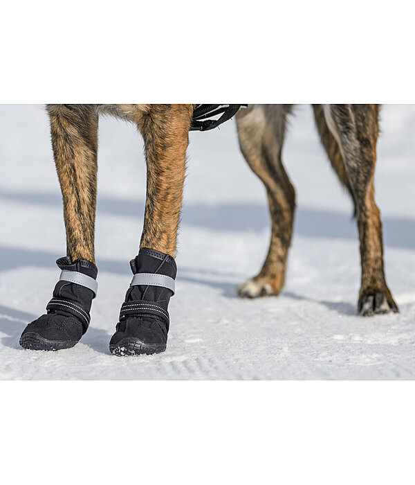 Chaussons pour chien  Antarctica