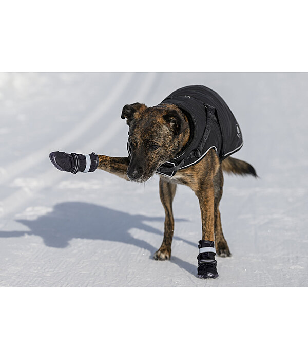 Chaussons pour chien  Antarctica