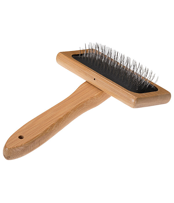 Carde pour chien  Woody