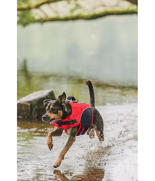 Gilet de sauvetage pour chien  Life Guard