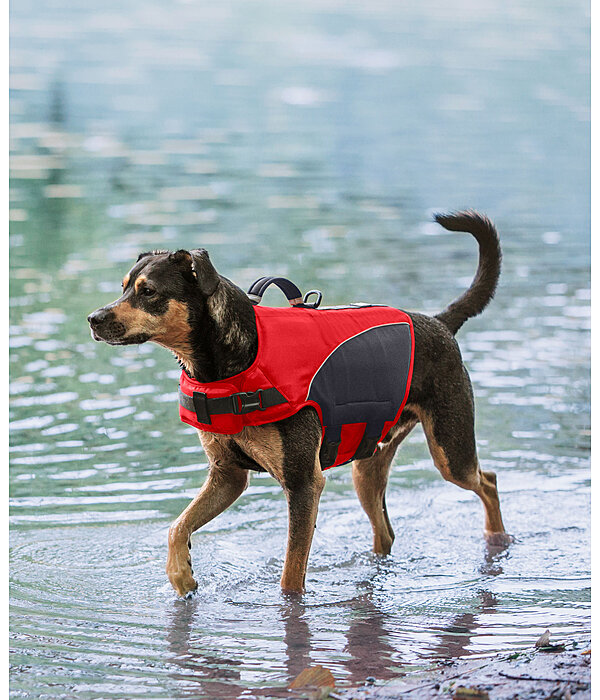 Gilet de sauvetage pour chien  Life Guard