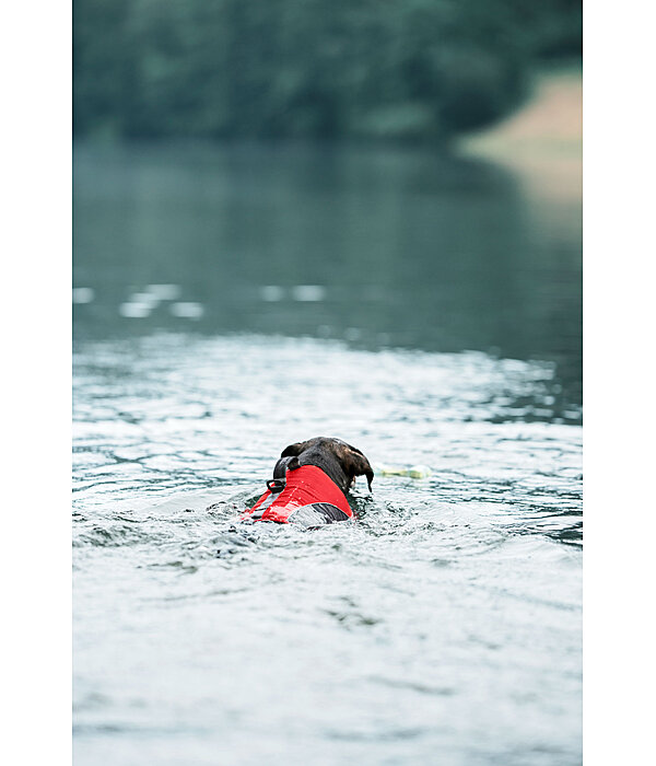 Gilet de sauvetage pour chien  Life Guard