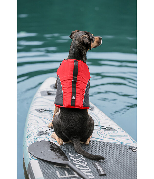 Gilet de sauvetage pour chien  Life Guard