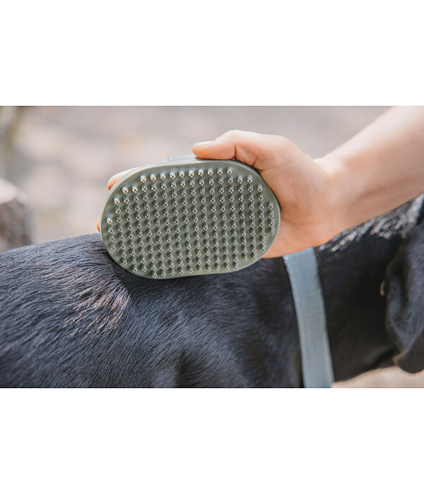 Brosse pour chien  Zevna