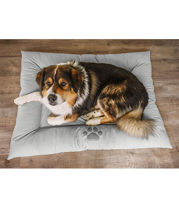 Coussin pour chien en synthtique  Gioia