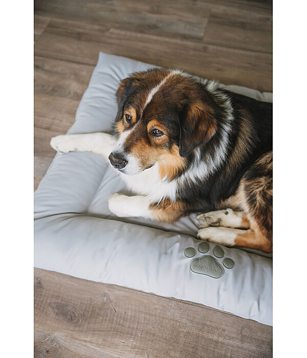 Coussin pour chien en synthtique  Gioia