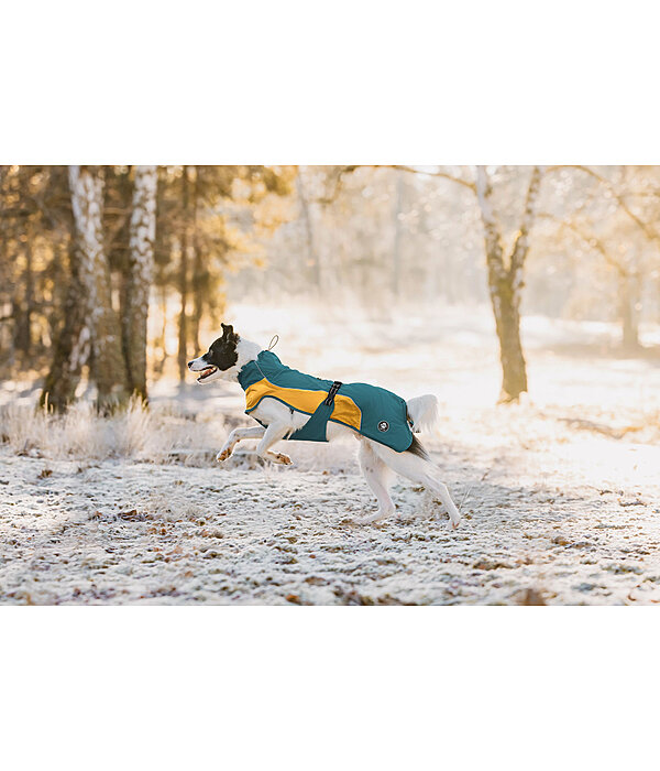 Manteau de pluie lger pour chien  Alma, 0 g
