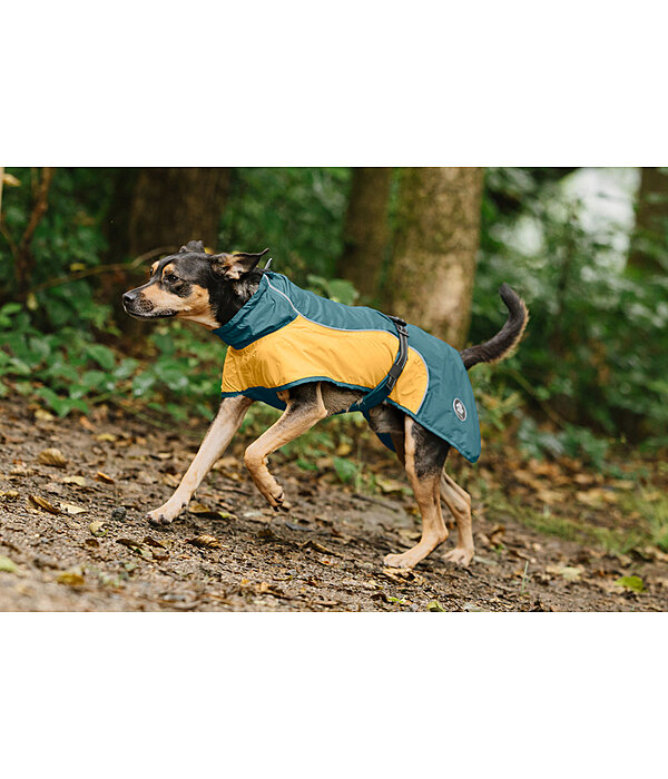 Manteau de pluie lger pour chien  Alma, 0 g