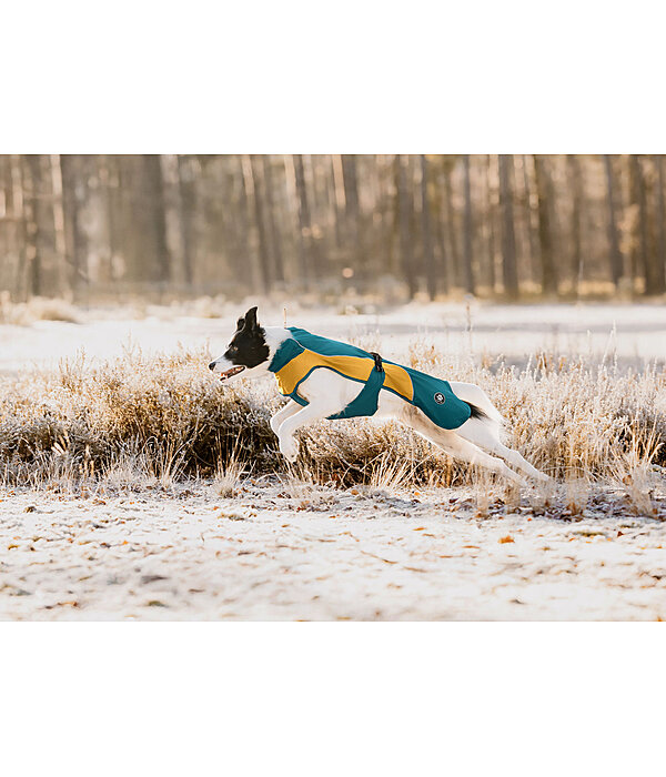 Manteau de pluie lger pour chien  Alma, 0 g