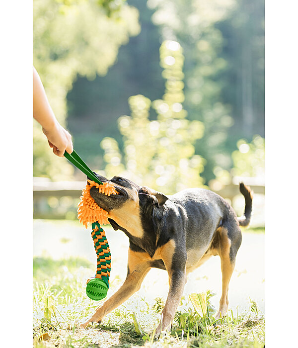 Jouet  tirer pour chien  Agi