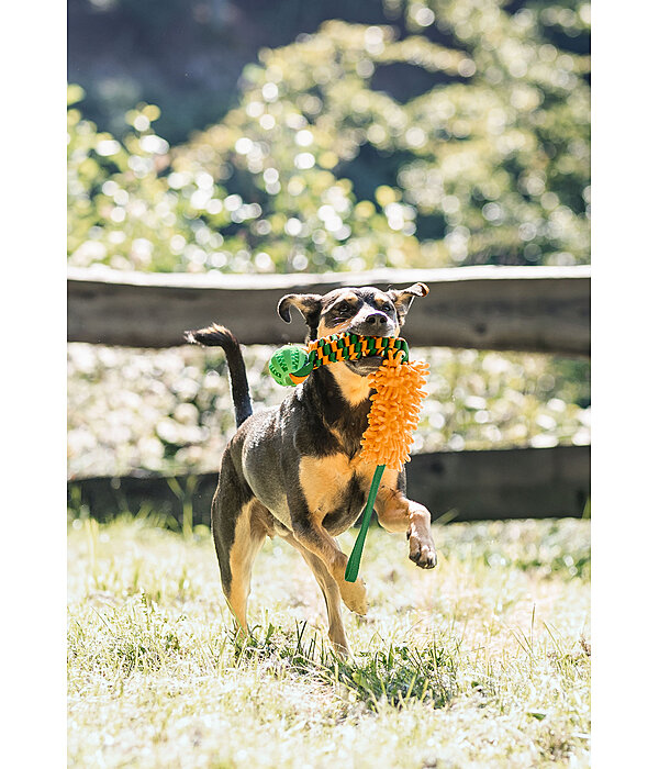 Jouet  tirer pour chien  Agi