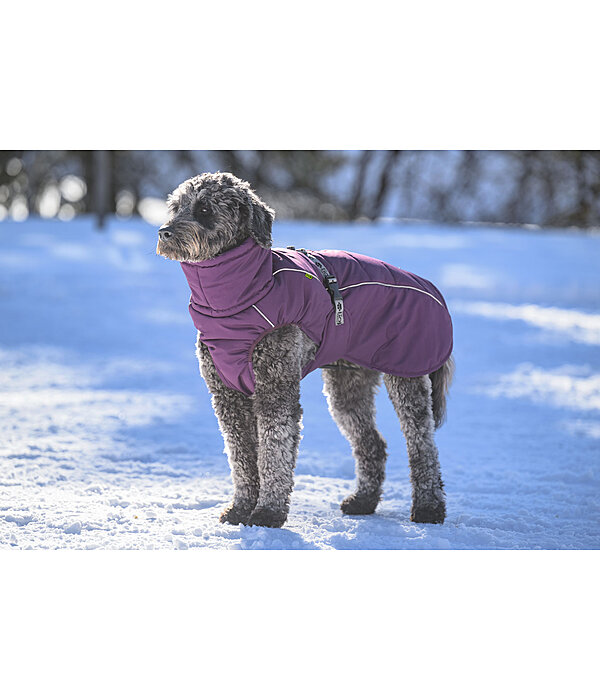 Manteau d'hiver pour chien  Marlon, 200-300 g