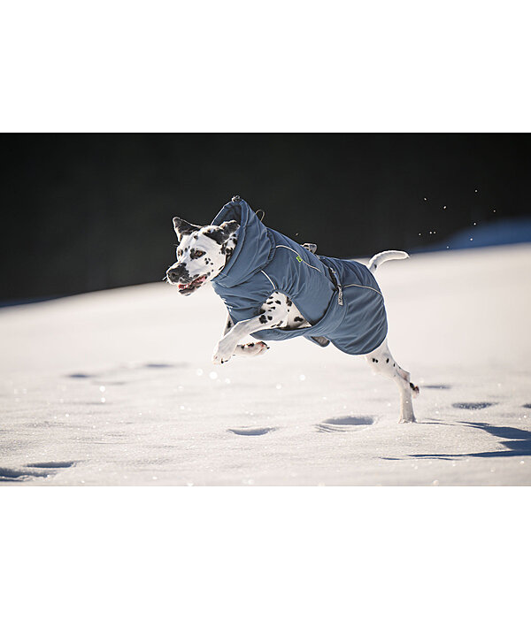 Manteau d'hiver pour chien  Marlon, 200-300 g