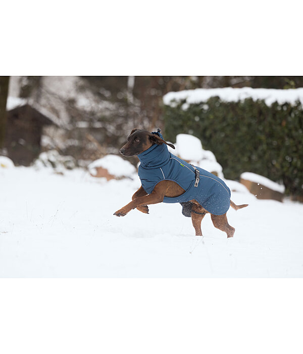 Manteau d'hiver pour chien  Marlon, 200-300 g