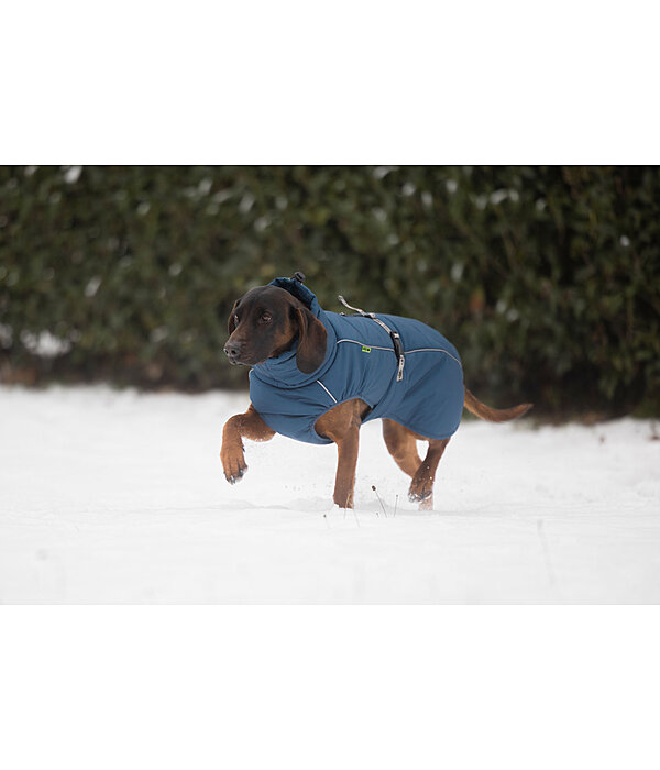 Manteau d'hiver pour chien  Marlon, 200-300 g