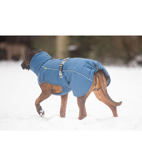 Manteau d'hiver pour chien  Marlon, 200-300 g