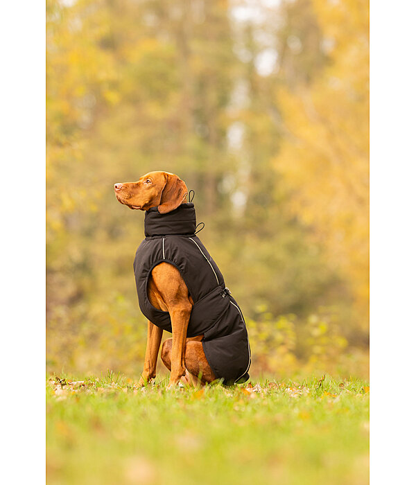 Manteau d'hiver pour chien  Marlon, 200-300 g