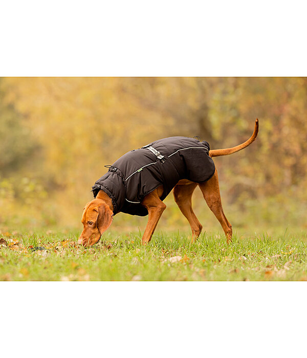 Manteau d'hiver pour chien  Marlon, 200-300 g