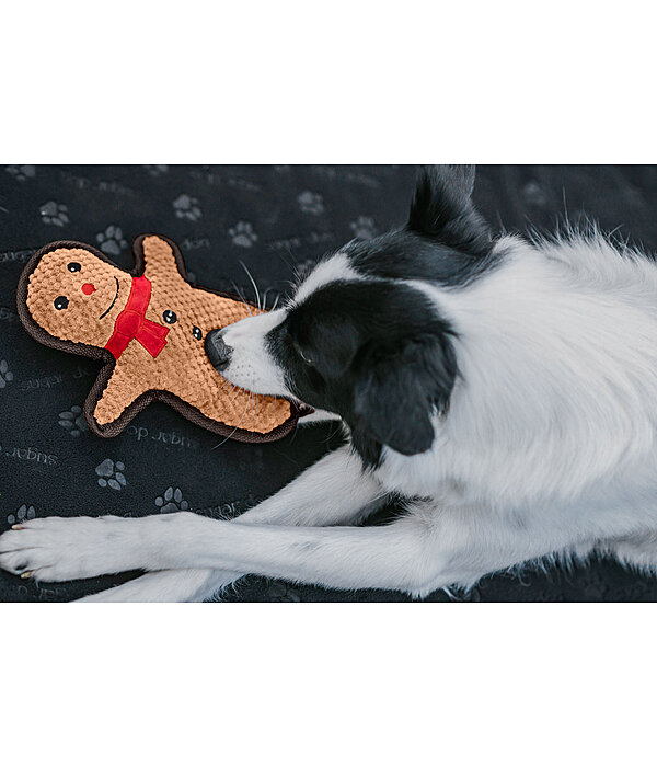 Jouet pour chien  Gingerman