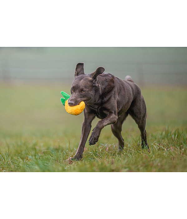 Jouet pour chien  Pineapple