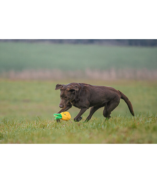Jouet pour chien  Pineapple