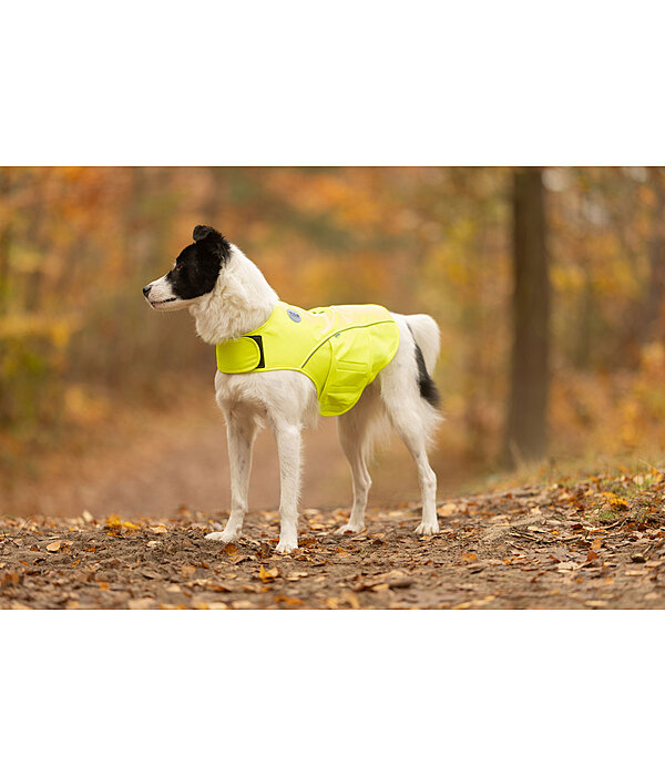 Gilet de s�curit� r�fl�chissant pour chien