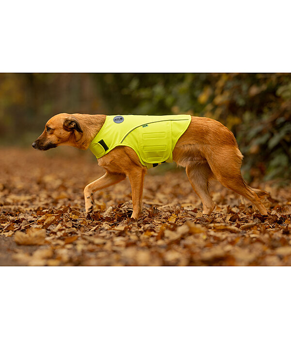 Gilet de s�curit� r�fl�chissant pour chien