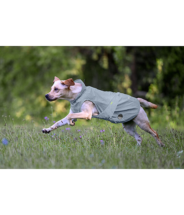 Imperm�able r�fl�chissant  To Go